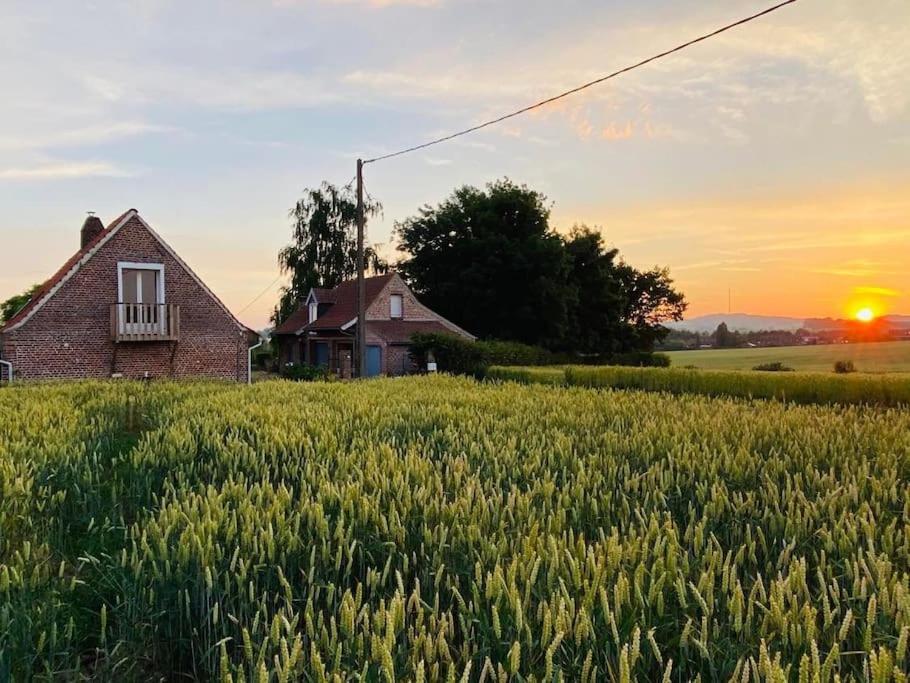 Cottage Chaleureux Au Coeur Des Monts De Flandres Saint-Jans-Cappel Exteriér fotografie